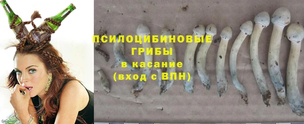 винт Баксан