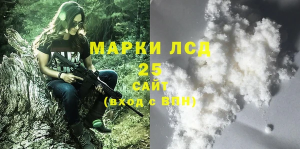 ГАЛЛЮЦИНОГЕННЫЕ ГРИБЫ Аркадак