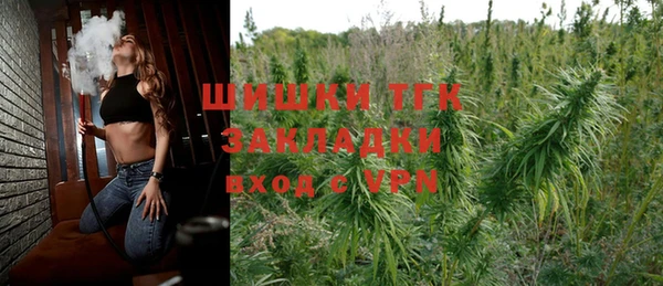ГАЛЛЮЦИНОГЕННЫЕ ГРИБЫ Аркадак