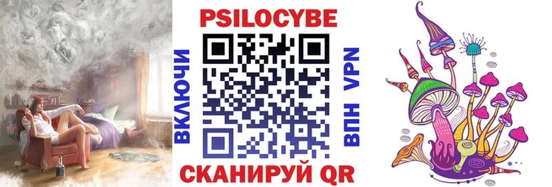 shop состав  продажа наркотиков  Красавино  Псилоцибиновые грибы GOLDEN TEACHER  МЕГА tor 