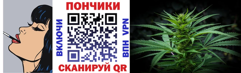 Конопля OG Kush  Красавино 